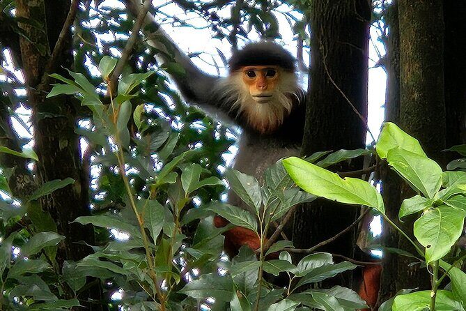 From Hue : Bach Ma National Park Trekking Adventure-Small Group - FAQ