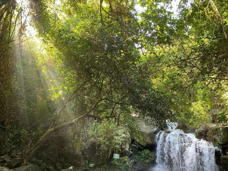 from-hue-botanic-garden-paradise-cave-and-dark-cave-tour
