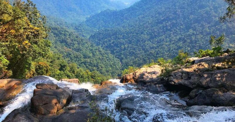from-hue-da-nang-hoi-an-bach-ma-national-park-trekking-tour