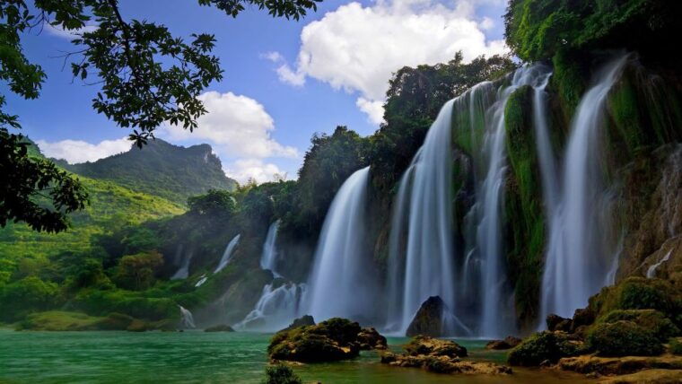 from-hue-da-nang-hoi-an-bach-ma-national-park-trekking-tour