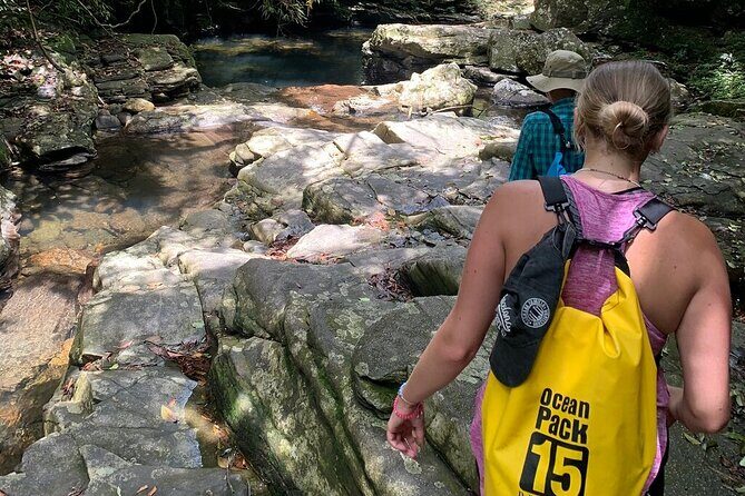 From Hue : Discover the Wonders of Bach Ma National Park - An Introduction to the Tour Experience