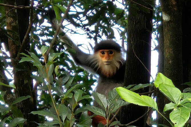 From Hue : Discover the Wonders of Bach Ma National Park - Authentic Experiences and Hidden Gems