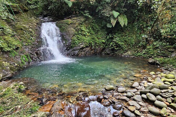 From Hue : Discover the Wonders of Bach Ma National Park - Who Should Consider This Tour?