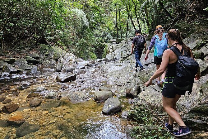 From Hue : Explore Bach Ma National Park Small Group Adventure - Why This Tour Is Worth Considering