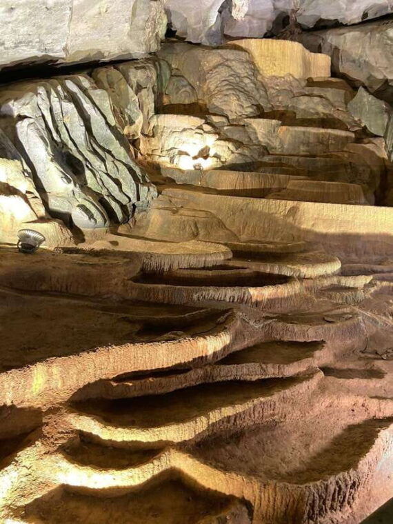 from-hue-phong-nha-ke-bang-cave-full-day-group-tour