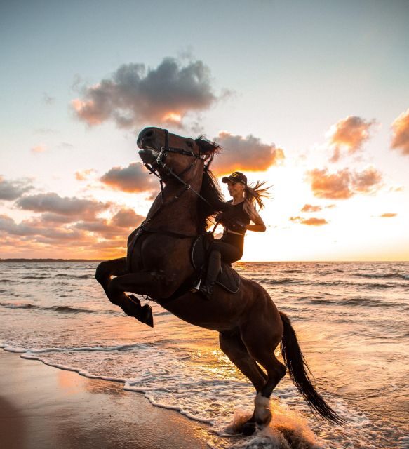 From Hurghada: Makadi Bay Horse Riding Tour - Introduction