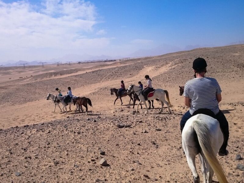 From Hurghada: Makadi Bay Horse Riding Tour - The Different Tour Options