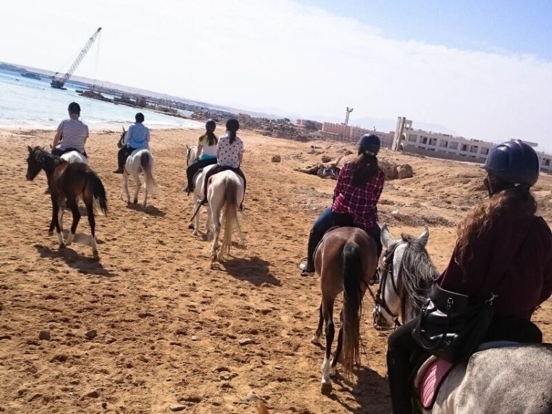 From Hurghada: Makadi Bay Horse Riding Tour - What Makes This Tour Special