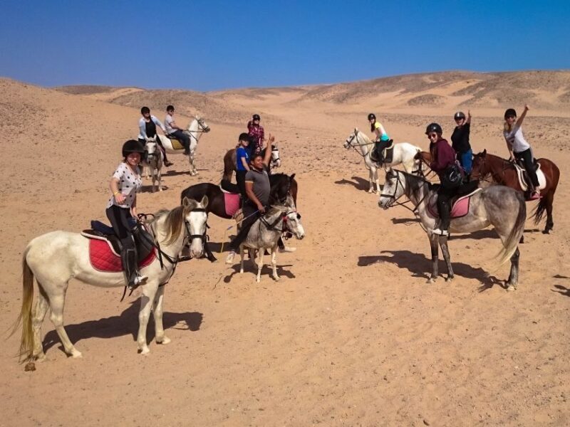 From Hurghada: Makadi Bay Horse Riding Tour - Who Should Consider This Tour?