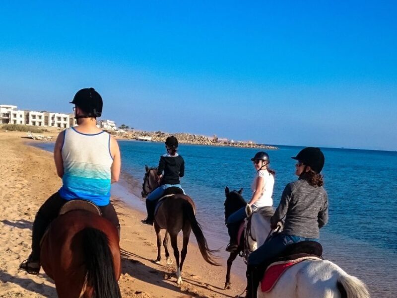 From Hurghada: Makadi Bay Horse Riding Tour - FAQs
