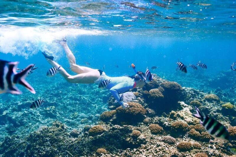 From Hurghada: Orange bay Snorkeling Cruise with Lunch - A Detailed Look at the Experience