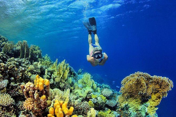 From Hurghada: Paradise Island Full-Day Snorkeling Tour - Practical Tips for the Trip