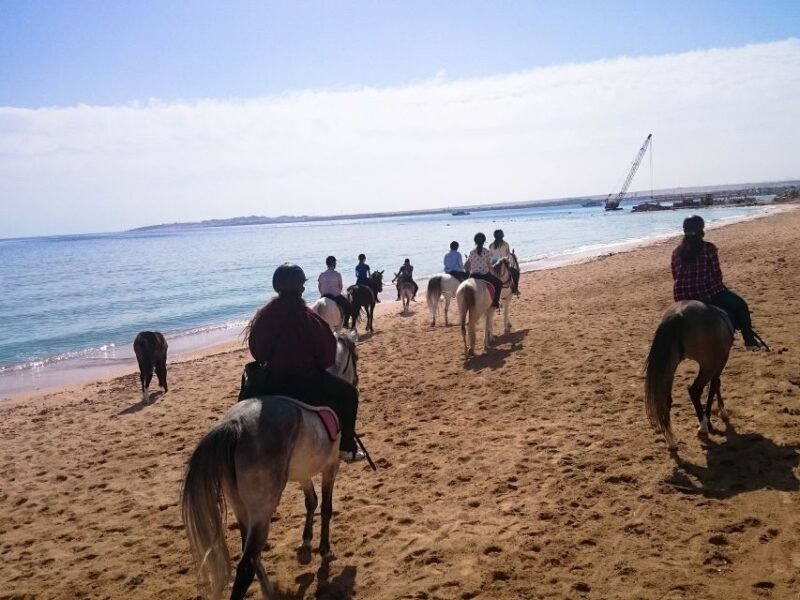 From Hurghada: Red Sea Sunrise and Desert Horseback Riding - A Scenic Ride That Feels Authentic and Personal