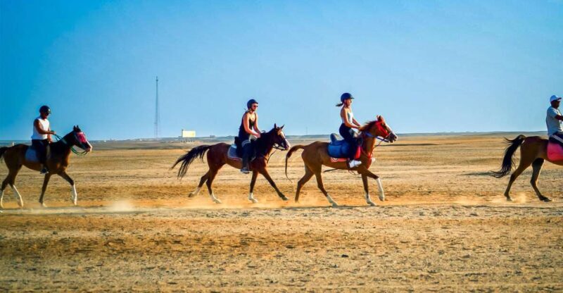 From Hurghada: Red Sea Sunrise and Desert Horseback Riding - Who Is This Tour Best For?