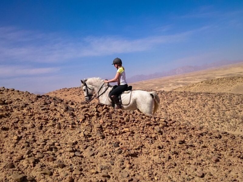 From Hurghada: Red Sea Sunrise and Desert Horseback Riding - FAQ