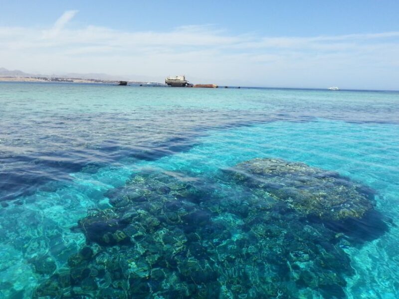 From Hurghada: Scuba Diving with Expert Guide & 2 Dives - Key Points
