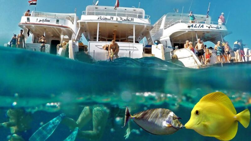 From Hurghada: Scuba Diving with Expert Guide & 2 Dives - What to Expect on the Tour