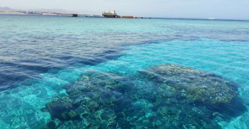 From Hurghada: Scuba Diving with Expert Guide & 2 Dives - Deep Dive into the Itinerary