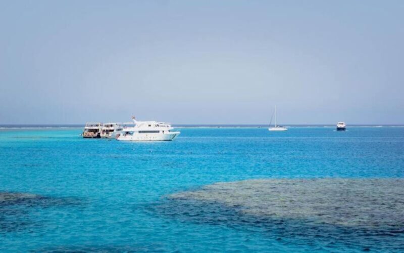 From Hurghada: Scuba Diving with Expert Guide & 2 Dives - Who Should Consider This Tour?