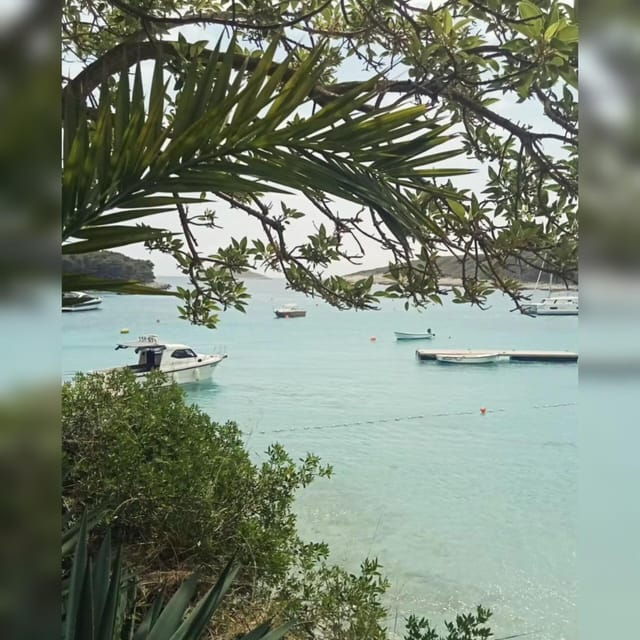 from-hvar-pakleni-islands-private-boat-tour