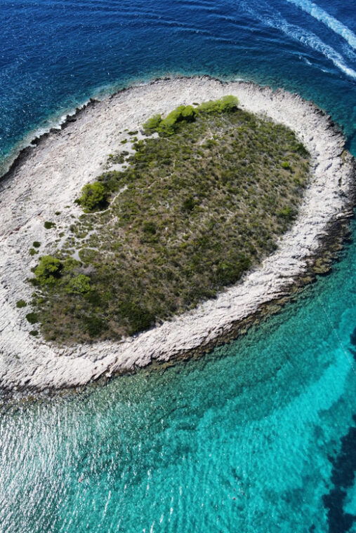 from-hvar-private-tour-pakleni-islandsblue-cave-vis