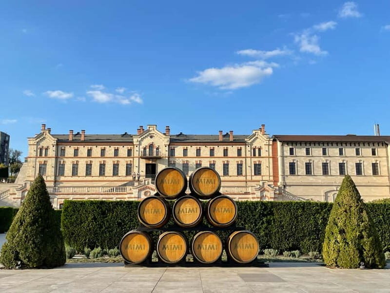 From Iai: Mimi Castle Wine Tasting Day Trip - A Detailed Look at the Experience