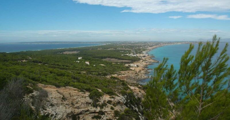 from-ibiza-ferry-and-guided-bus-excursion-in-formentera