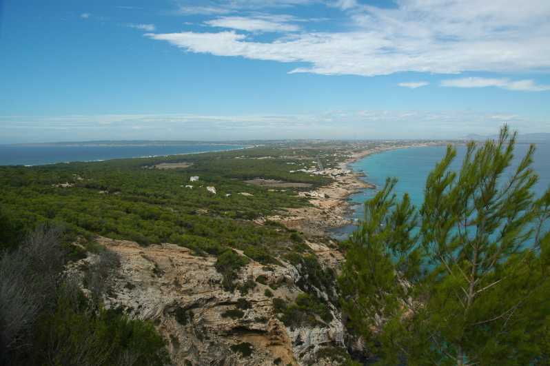 from-ibiza-ferry-and-guided-bus-excursion-in-formentera