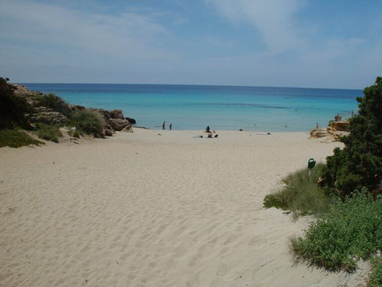 from-ibiza-ferry-and-guided-bus-excursion-in-formentera