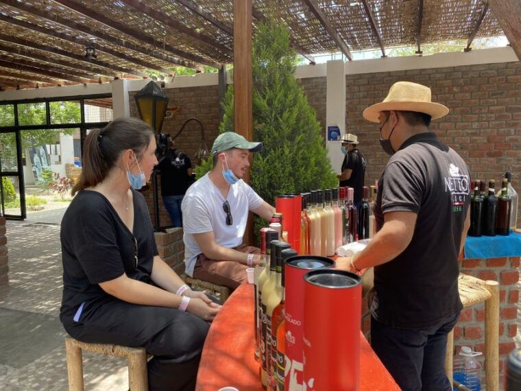 from-ica-or-huacachina-wine-and-pisco-vineyards-tour