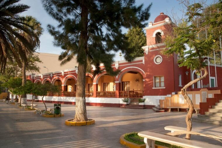 from-ica-or-huacachina-wine-and-pisco-vineyards-tour