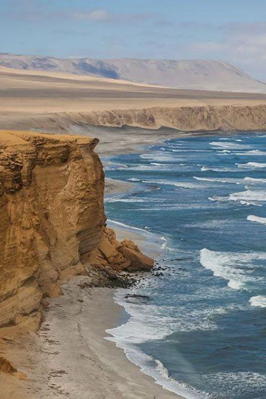 from-ica-paracas-tour-ballestas-islands