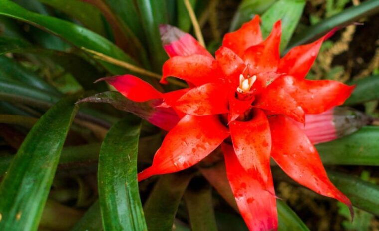 from-iguazu-excursion-to-the-iguazu-biocenter