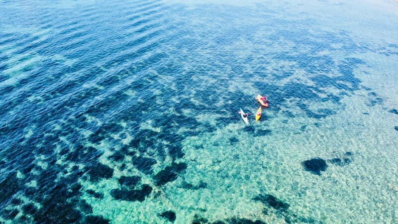 From Inmood Hotel Alcanada. Kayaking Guided Route Island - Who Would Love This Experience