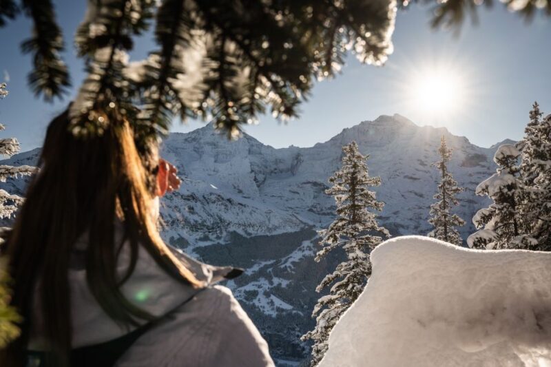 From Interlaken: Guided Snowshoe Tour - Introduction: Why This Snowshoe Tour Might Be Your Next Winter Adventure