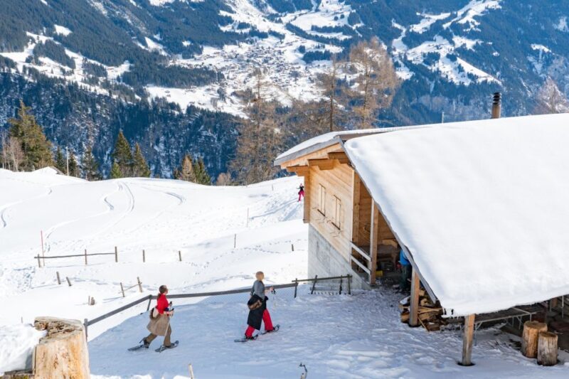 From Interlaken: Guided Snowshoe Tour - The Logistics: What You Need to Know