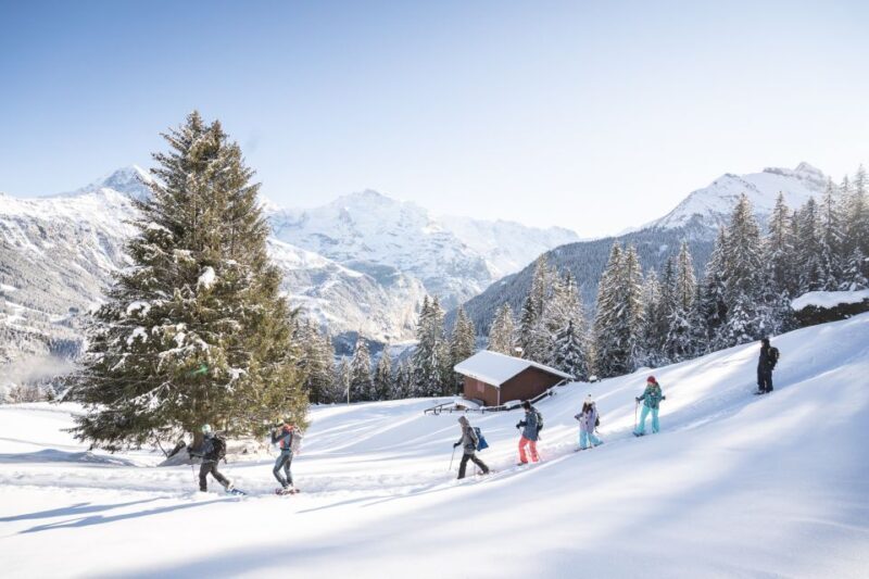 From Interlaken: Guided Snowshoe Tour - The Sum Up: Who Will Love This Snowshoe Tour?