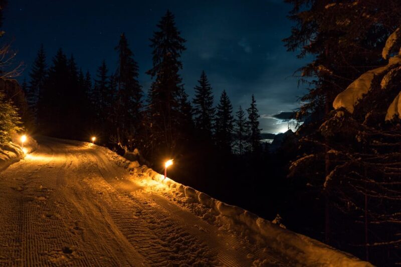 From Interlaken: Night Sledding with Cheese Fondue Dinner - FAQ