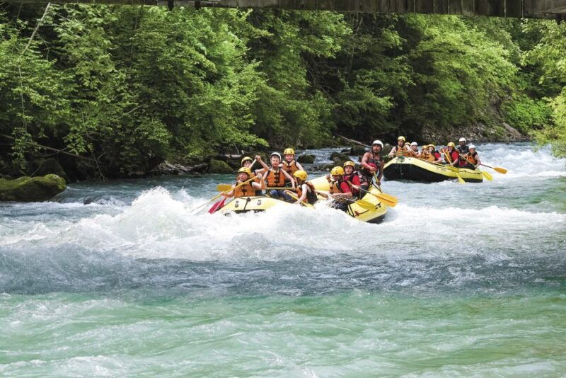 From Interlaken: River Rafting Adventure on Simme River - Who Will Love This Experience