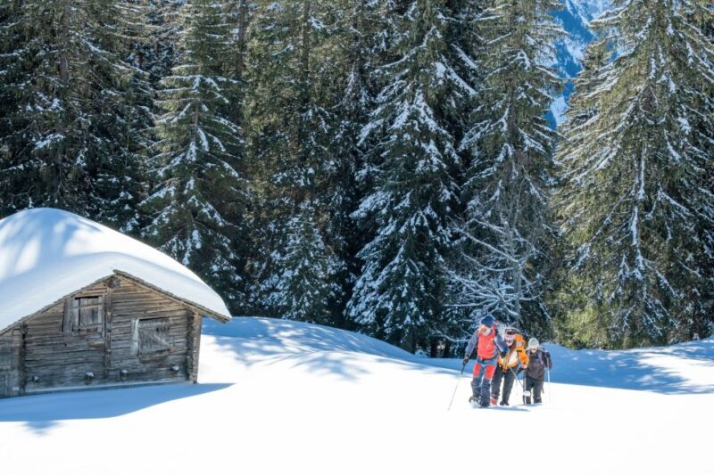 From Interlaken: Wetterhorn Trail Snowshoe Hiking Tour - Key Points