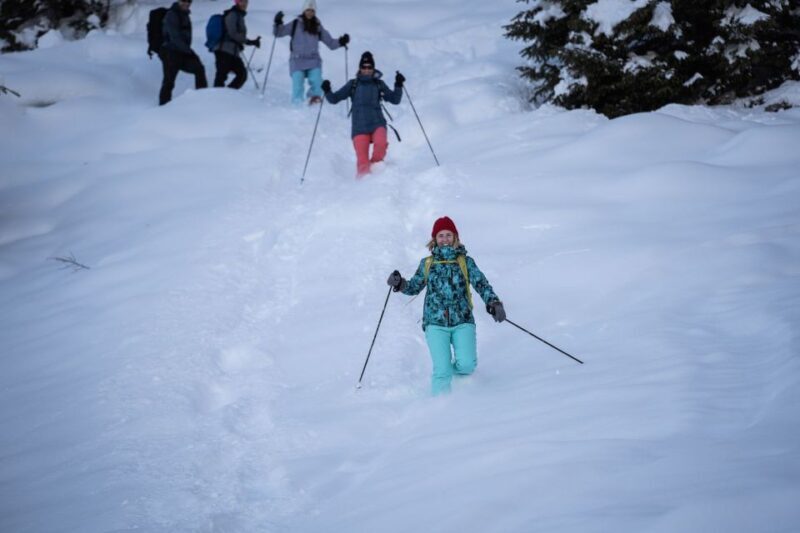 From Interlaken: Wetterhorn Trail Snowshoe Hiking Tour - An Authentic Snowshoe Experience with Unbeatable Views