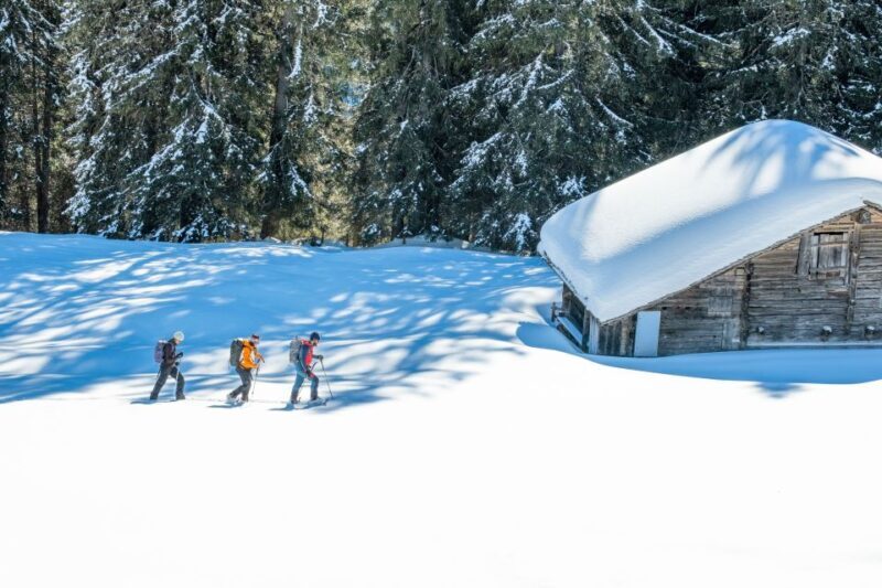 From Interlaken: Wetterhorn Trail Snowshoe Hiking Tour - The Guide: Knowledgeable and Friendly?