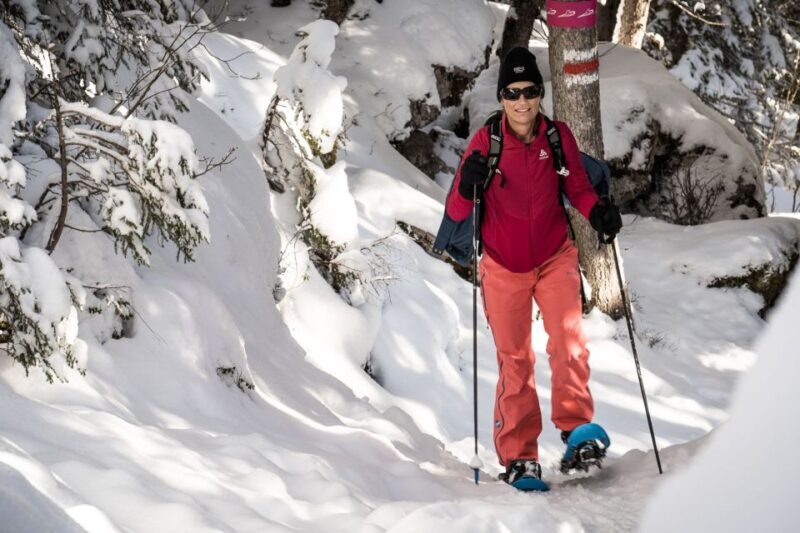 From Interlaken: Wetterhorn Trail Snowshoe Hiking Tour - Value and Cost: Is It Worth It?