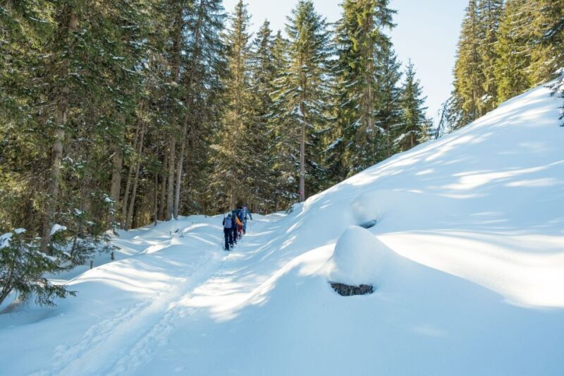 From Interlaken: Wetterhorn Trail Snowshoe Hiking Tour - Who Would Love This Tour?