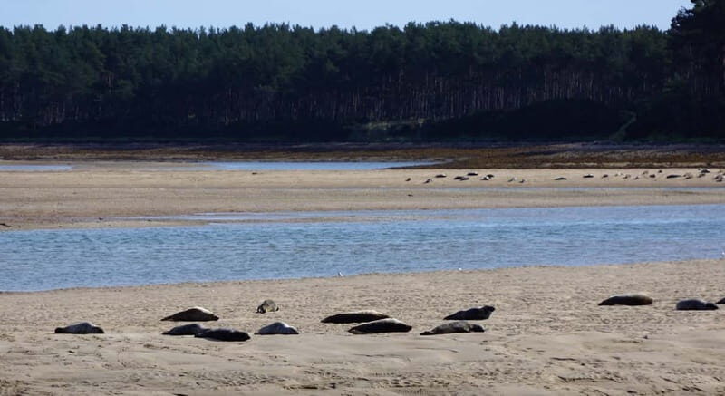 From Invergordon: Private Northern Highlands Shore Excursion - Who Will Love This Tour?