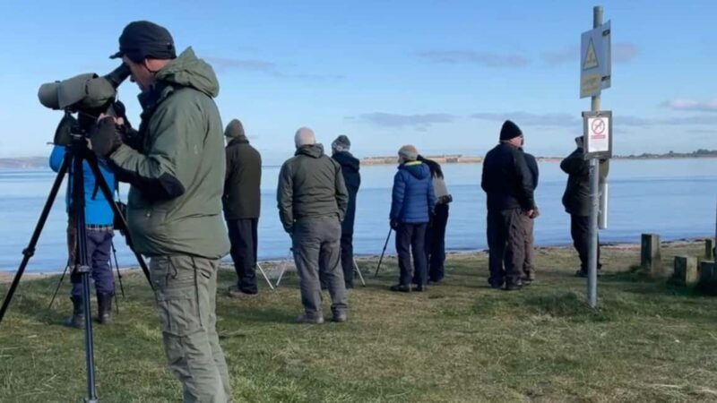 From Inverness: Black Isle Tour with Dolphin Spotting - The Black Isle Brewery Experience