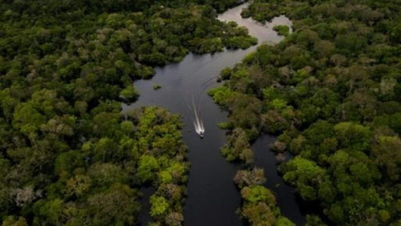 from-iquitos-3-day-amazon-jungle-adventure-trip