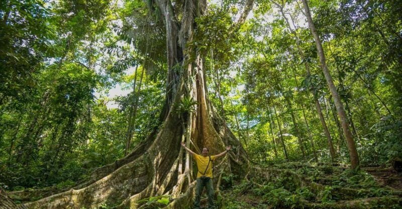 from-iquitos-3-day-pacaya-samiria-national-reserve-tour