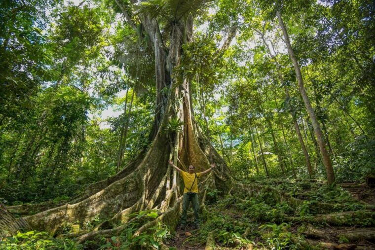 from-iquitos-3-day-pacaya-samiria-national-reserve-tour
