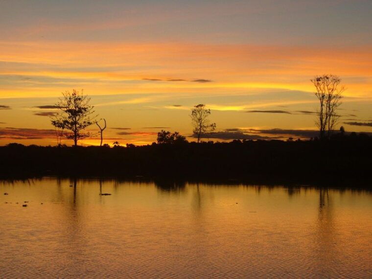 from-iquitos-3-day-pacaya-samiria-national-reserve-tour